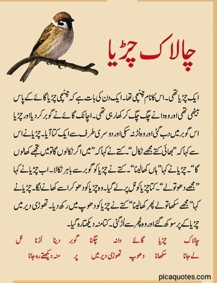 Short Moral Stories in Urdu