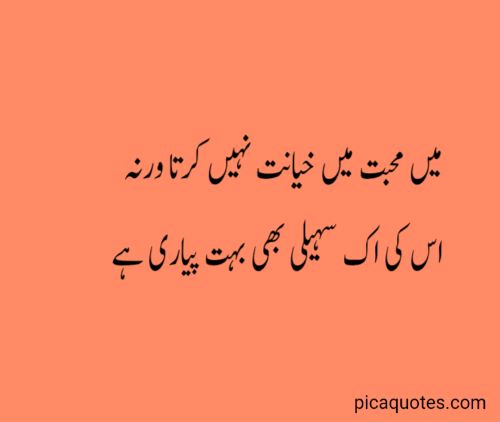 Funny poetry in urdu