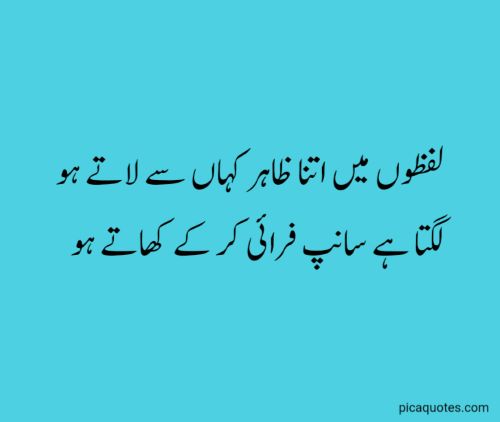 Funny poetry in urdu