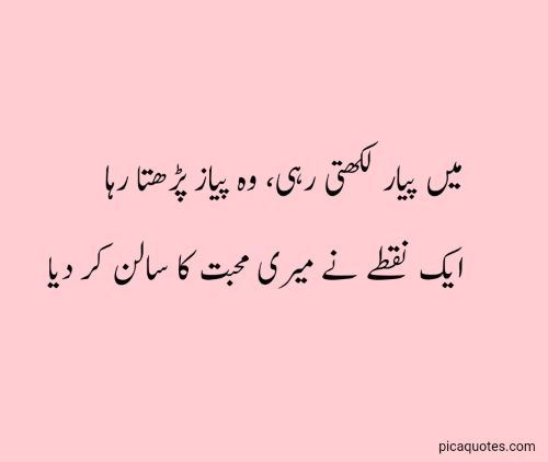 Funny poetry in urdu