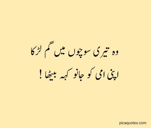 Funny poetry in urdu