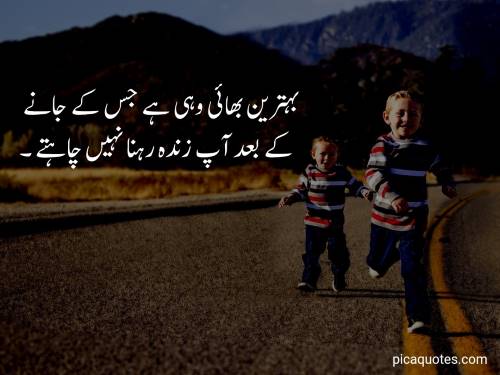 Brother quotes in urdu