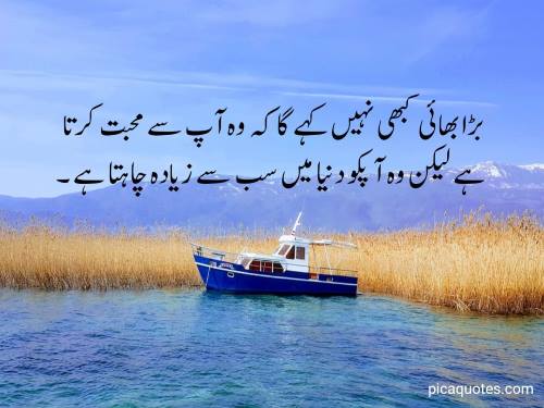 Brother quotes in urdu