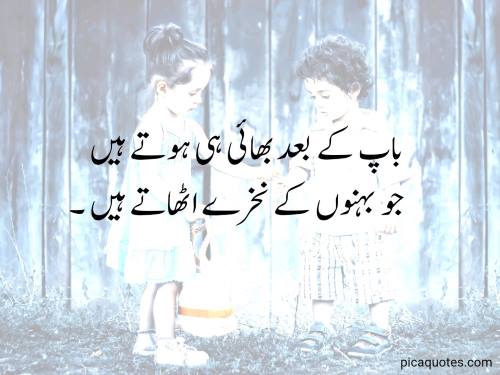 Brother quotes in urdu