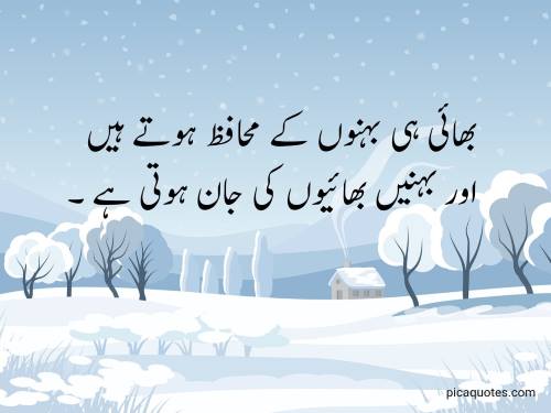 Brother quotes in urdu