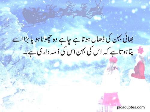 Brother quotes in urdu