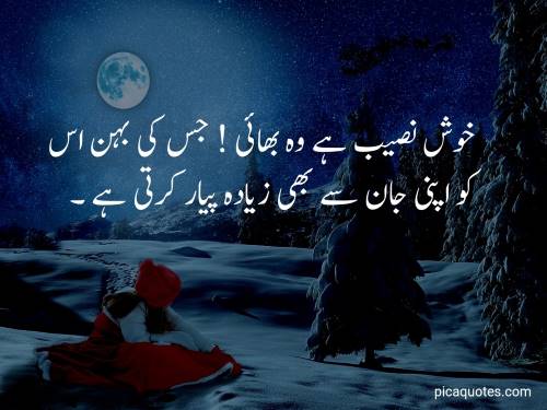 Brother quotes in urdu