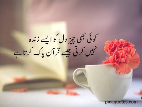 friendship quotes in urdu