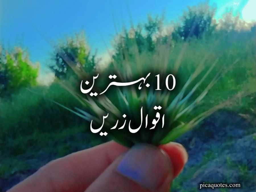 10 best quotes in urdu